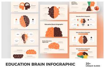 Education Brain Infographic PowerPoint Template